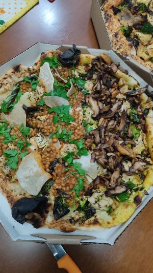 Shitake com nozes e base de curry(meu favorito)/ shiitake with nuts and curry base, bolognesa com grão de trigo at Fermentô in Porto Alegre