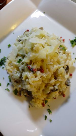 vegetable lasagna. at La Caffetteria in Valparaiso
