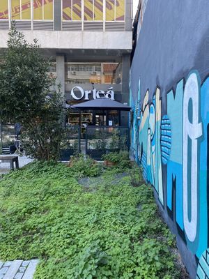 Ortega at Orteá - Vegan Collective in Lisbon