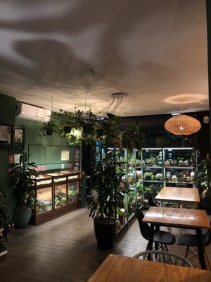   at Orteá - Vegan Collective in Lisbon