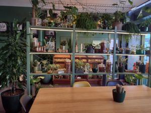 Lots of gorgeous plants within the restaurant at Orteá - Vegan Collective in Lisbon