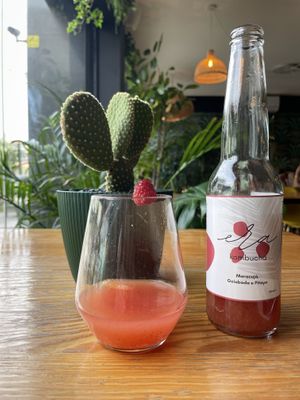 House kombucha  at Orteá - Vegan Collective in Lisbon