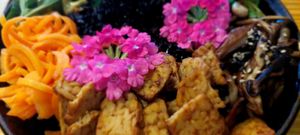 The tempeh is always so good 👍 at Orteá - Vegan Collective in Lisbon