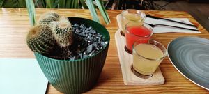 Kombuchas at Orteá - Vegan Collective in Lisbon