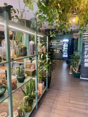 The place   at Orteá - Vegan Collective in Lisbon