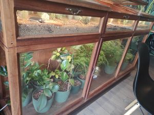  at Orteá - Vegan Collective in Lisbon