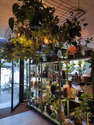  at Orteá - Vegan Collective in Lisbon