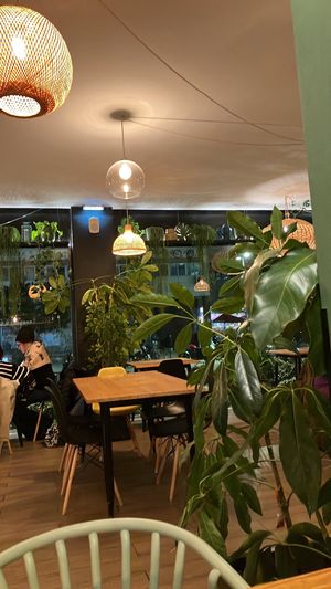Room full of plants  at Orteá - Vegan Collective in Lisbon
