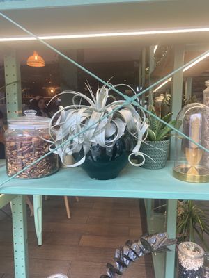   at Orteá - Vegan Collective in Lisbon