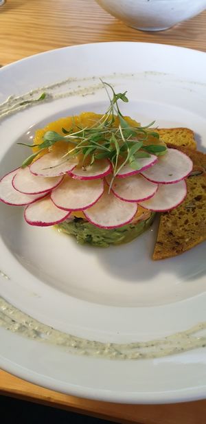 Equador - vegan tartar with mushrooms, avocado, mango and radishes at Orteá - Vegan Collective in Lisbon
