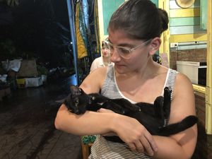 Kitty kitty  at The Family Restaurant in Bangkok