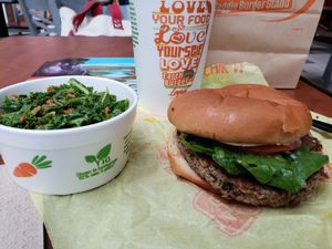 Combo at Earth Burger in Bloomington