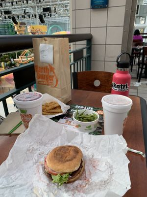Earth Burger, fries, edamame and chocolate earthshake at Earth Burger in Bloomington