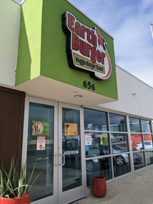 Yum factor 10. at Earth Burger in San Marcos