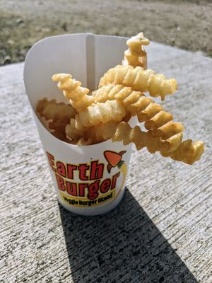 Yum factor 10. at Earth Burger in San Marcos