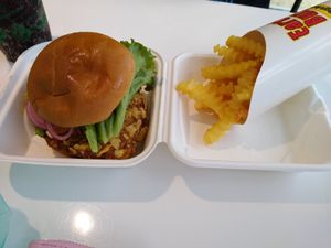 Vegan chicken sandwich and fries at Earth Burger in San Marcos