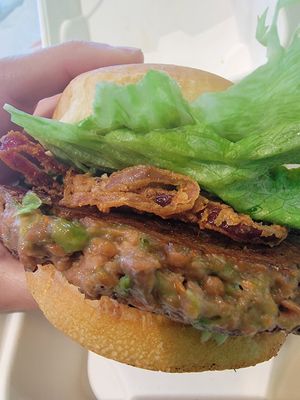 Burger at Earth Burger in San Marcos