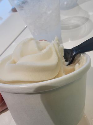 Ice cream at Earth Burger in San Marcos