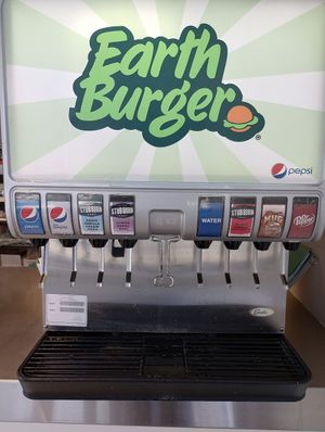 Craft soda options! at Earth Burger in San Marcos