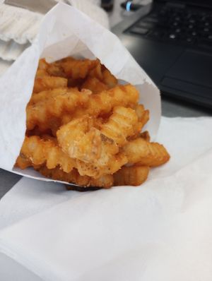 Fries - and they were sliced and delicious at Earth Burger in San Marcos