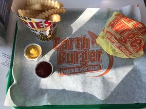 Earth Burger with Fries at Earth Burger in San Marcos