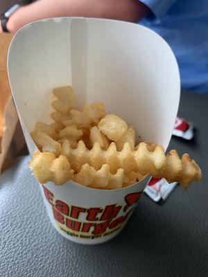 Fries at Earth Burger in San Marcos