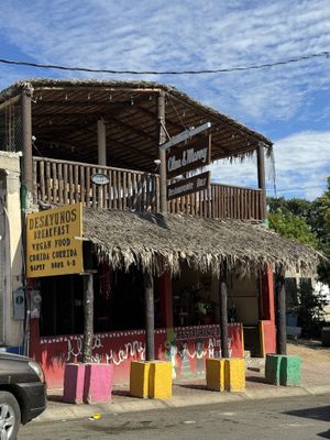   at Alma y Manny  in Todos Santos