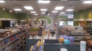 The tree sticks out so nicely! at The Green Root in Belleville
