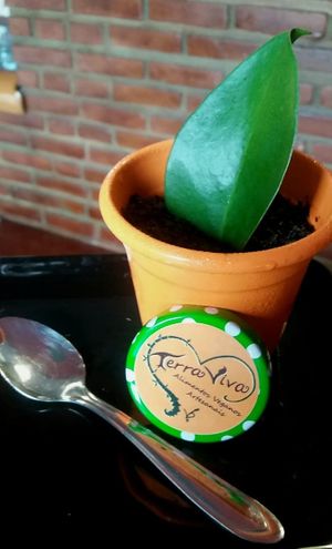   at Terra Viva in Amparo