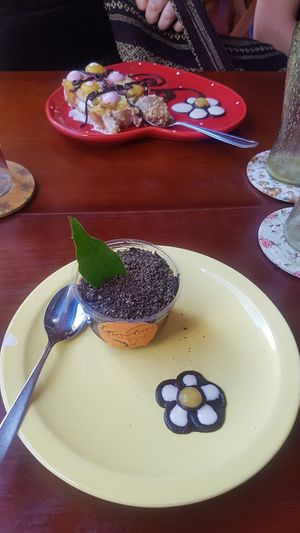 Terra viva at Terra Viva in Amparo