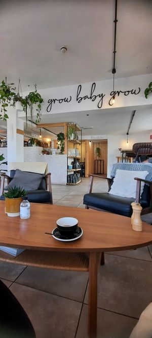 Interior at Bean and Bread in Abergavenny