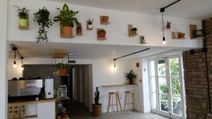 Light, airy interior with cactus theme at Bean and Bread in Abergavenny