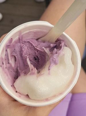  at Veganista Ice Cream VI in Vienna