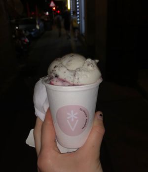 3 scoops, 5,70€  at Veganista Ice Cream VI in Vienna