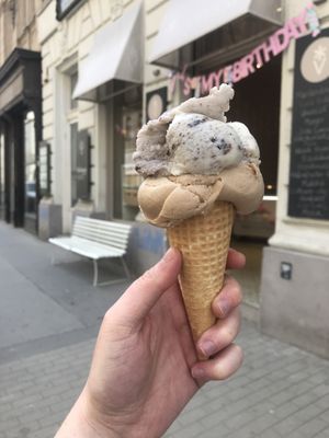 Hazelnut and cookie  at Veganista Ice Cream VI in Vienna
