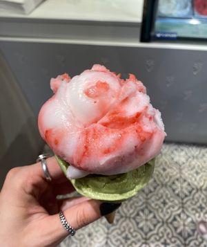   at Veganista Ice Cream VI in Vienna