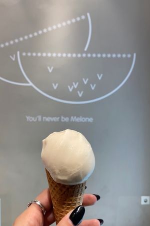   at Veganista Ice Cream VI in Vienna