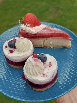  at VegGo Bistro in Zilina