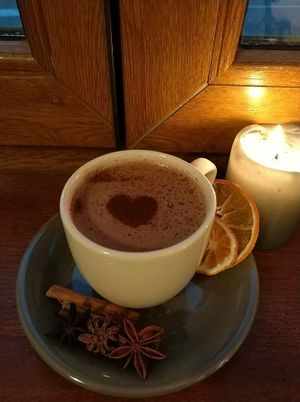 Vegan cacao as grandma would serve at VegGo Bistro in Zilina