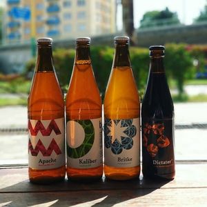 Slovak Beer Berhet at VegGo Bistro in Zilina