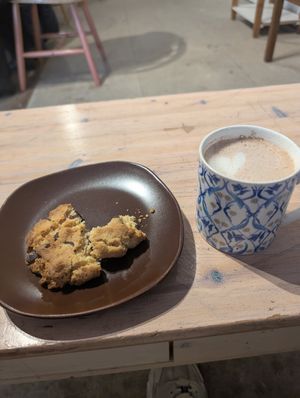 Cookie at Redwing Gallery in Penzance