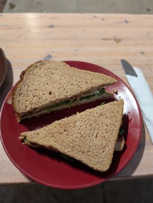 Vlt at Redwing Gallery in Penzance