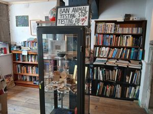  at Redwing Gallery in Penzance