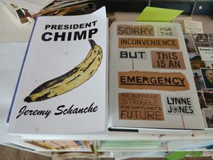  at Redwing Gallery in Penzance