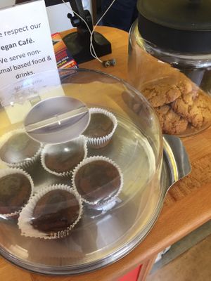 Ginger cookies , choc cupcake at Redwing Gallery in Penzance