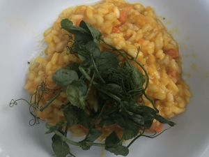 Sweet potato risotto  at The Bells of Peover in Lower Peover
