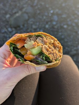 Soy curl chicken salad wrap at Off the Wagon in Brookings