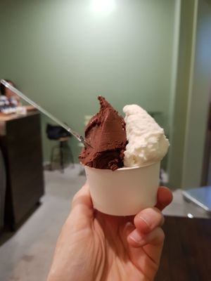 Chocolate and grapefruit vegan ice creams at Mondo Gelato in Tokyo