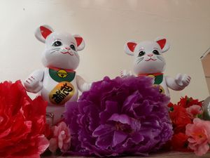 Decor at True Veggie 实斋 in Central Singapore