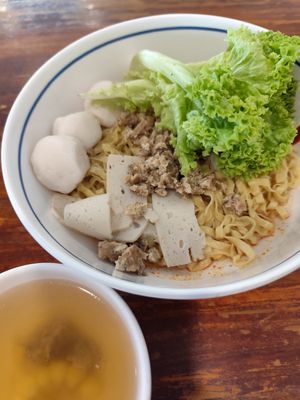 "fishball" noodle at True Veggie 实斋 in Central Singapore